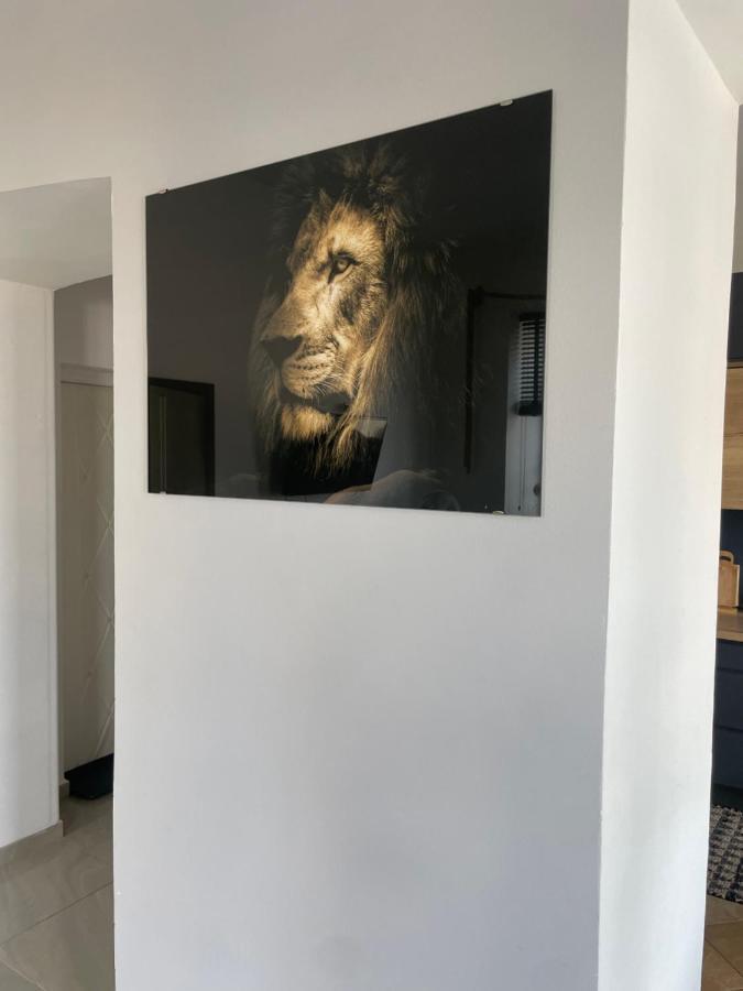 Appartement Apartament W Centrum Przy Studni 102M2 à Chełm Extérieur photo