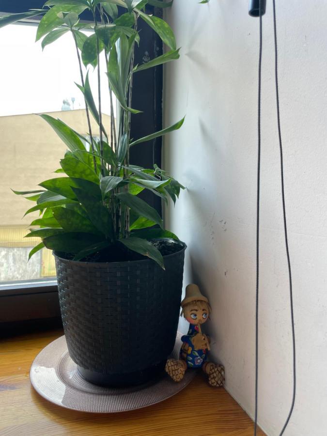 Appartement Apartament W Centrum Przy Studni 102M2 à Chełm Extérieur photo